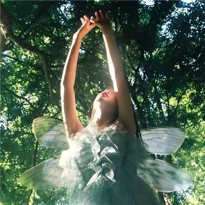 神医狂妃战神王爷乖乖受宠