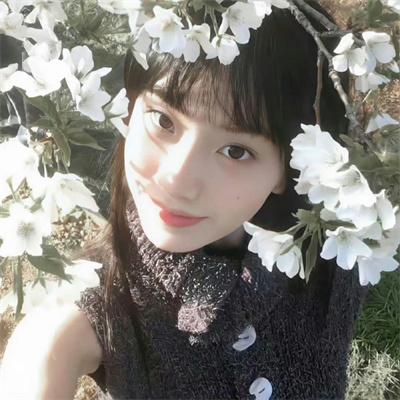 天堂岛疑云第十三季